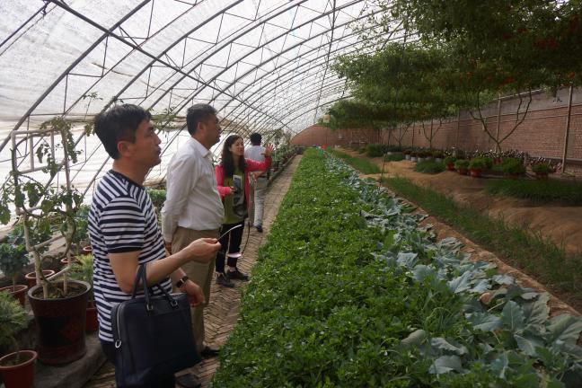 我公司領(lǐng)導(dǎo)一行赴北京、壽光考察學(xué)習(xí)現(xiàn)代農(nóng)業(yè)