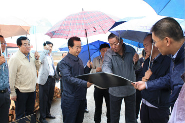 陸治原市長冒雨視察 市政工程進展順利