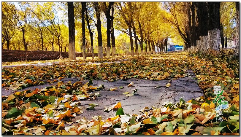 對(duì)于工作，你帶著情懷了嗎？