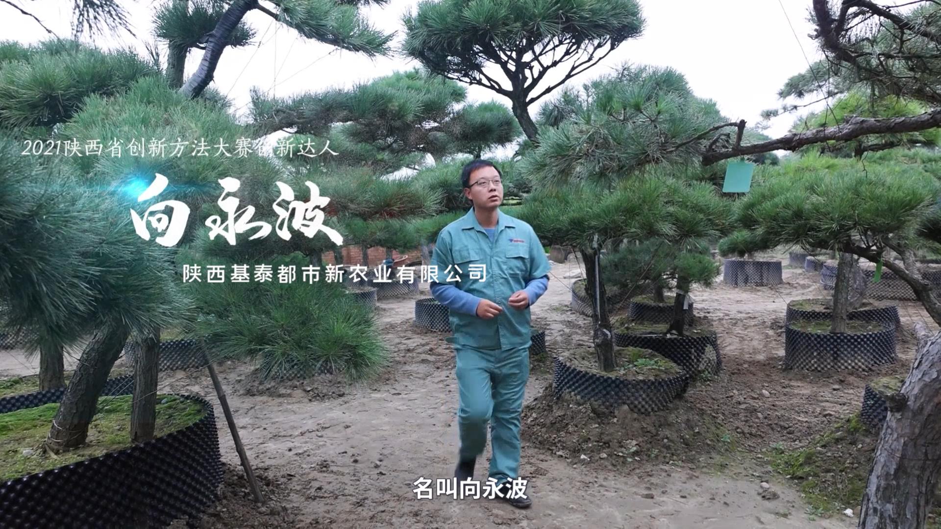 創(chuàng)新達(dá)人！